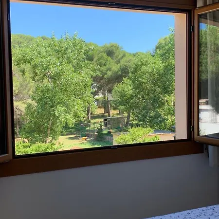 Apartment Apartamento En La Fosca,